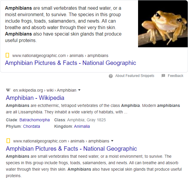 Google SERP for "amphibians"